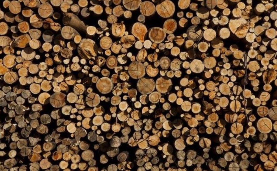 Kalcher Holzhandel Industrieholz